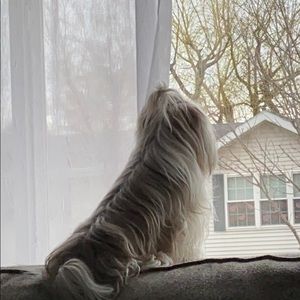 Meet your Posher, Justine